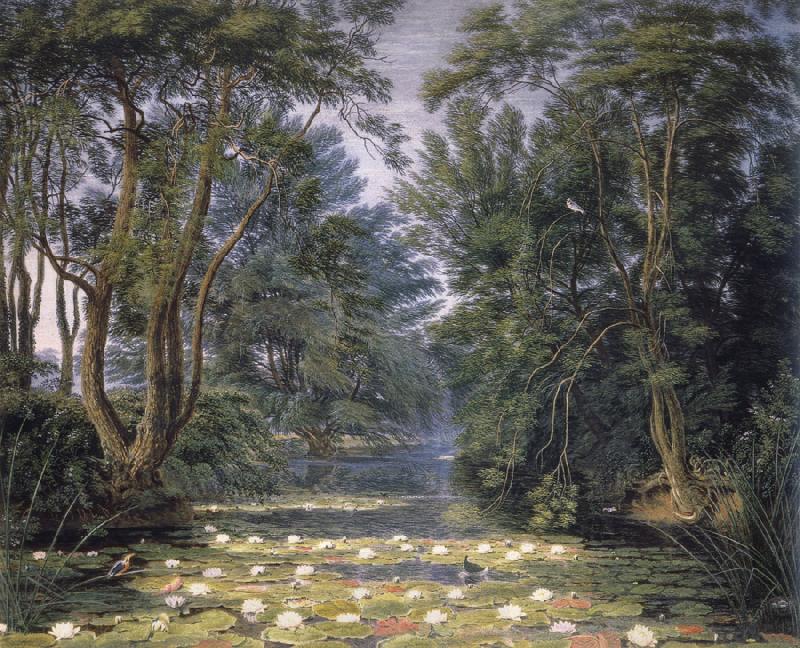 William Turner of Oxford Cherwell Water Lilies, oil painting picture